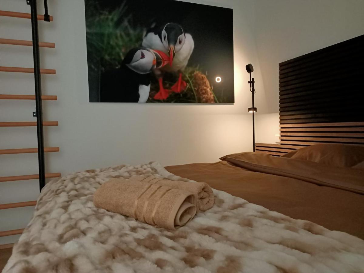 Puffin Nest, Superior Apartment Reykjavik Exterior photo