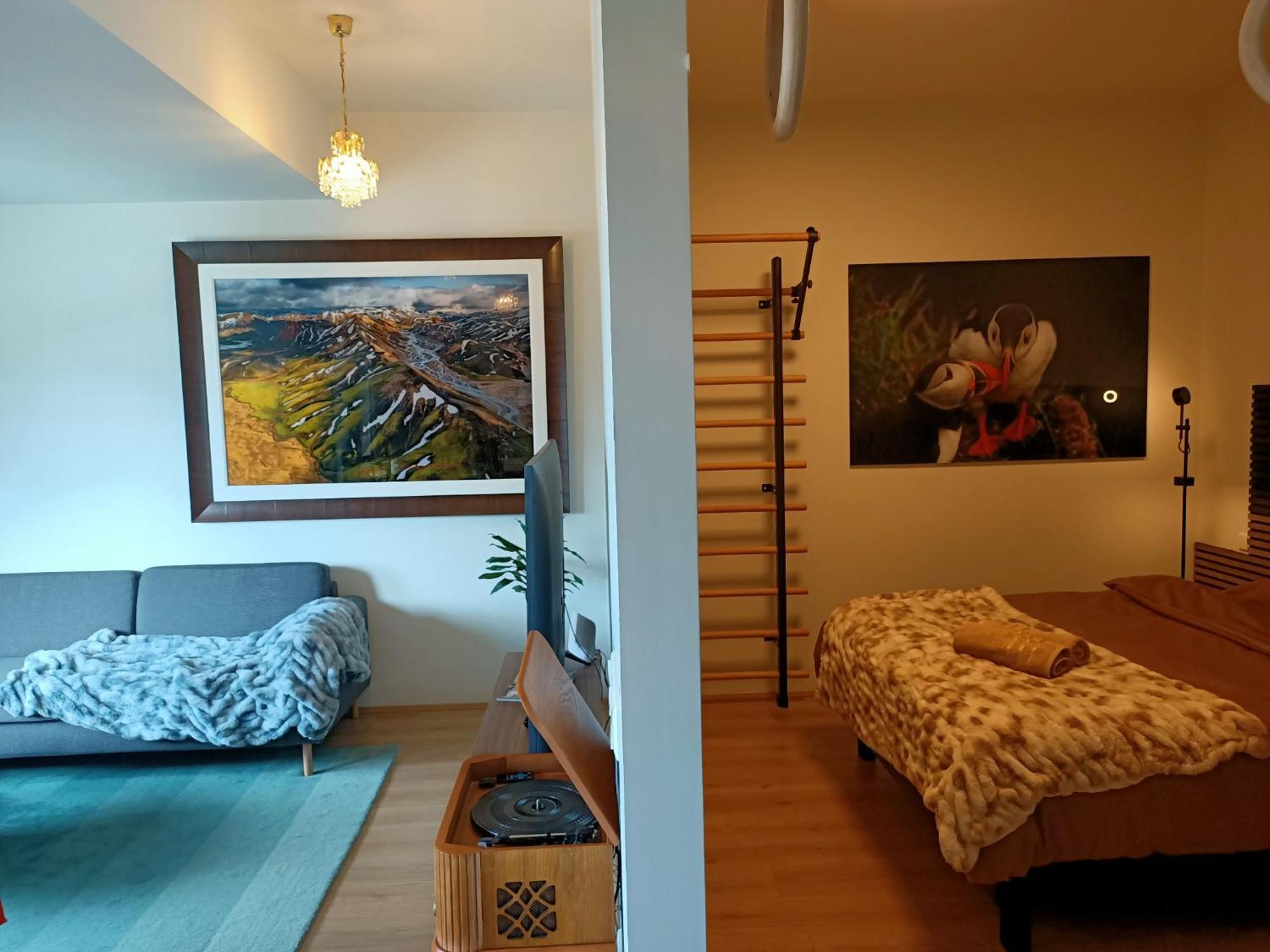 Puffin Nest, Superior Apartment Reykjavik Exterior photo